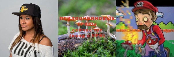 индика Армянск