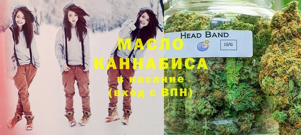 дмт Аркадак