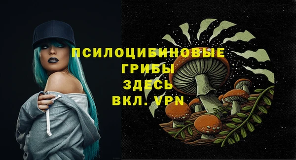индика Армянск