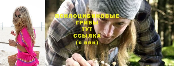 индика Армянск