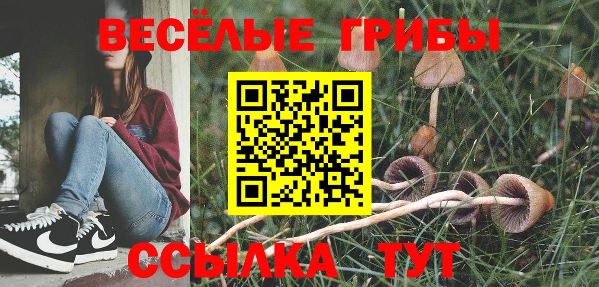 Морозовск  Псилоцибиновые грибы Psilocybine cubensis  Галлюциногенные грибы мухоморы  Вход с VPN 